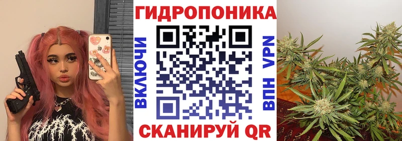 Купить закладку МАРИХУАНА  Cocaine  Псилоцибиновые грибы  Меф  Выборг