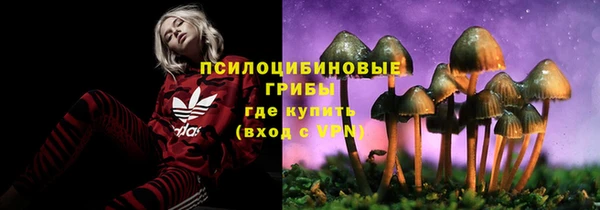 таблы Богородск