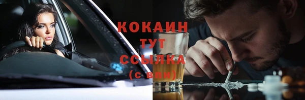 ALPHA PVP Богданович