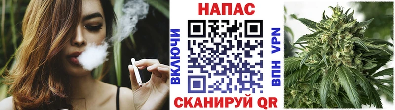 Купить где  Выборг  Каннабис MAZAR 
